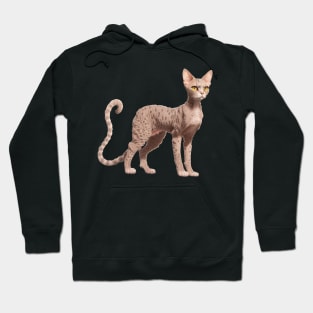 Devon Rex cat Hoodie